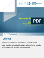 Identificação de estruturas anatômicas em radiografias