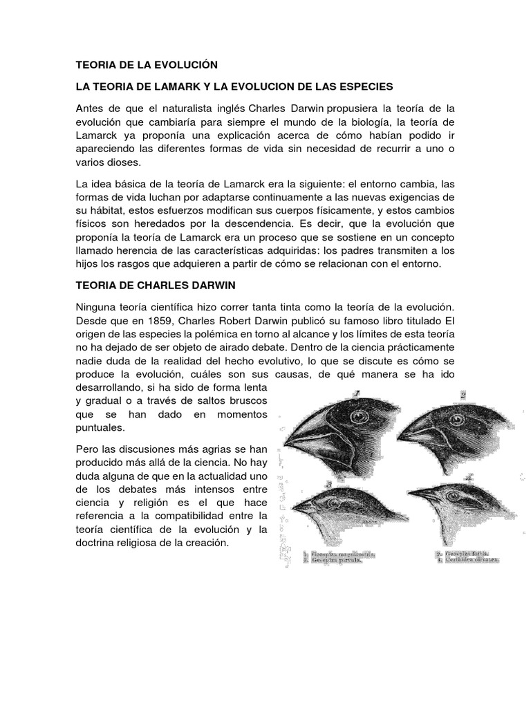 Evolución y Teoría de Darwin | PDF | Evolución | Charles Darwin