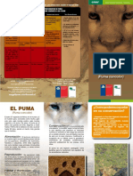 Caracterización de Los Comportamientos de Puma