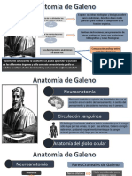 Anatomia de Galeno