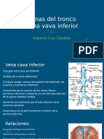 Vena Cava Inferior