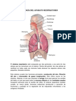 Histología Del Aparato Respiratorio