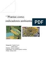 plantas_como_bioindicadores_ambientales.pdf