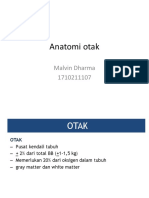 Anatomi Otak