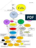 Completed Concept Map PDF