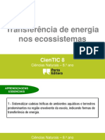 Ctic8 - Transf. de Energia Nos Ecossistemas