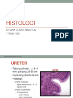 HISTOLOGI