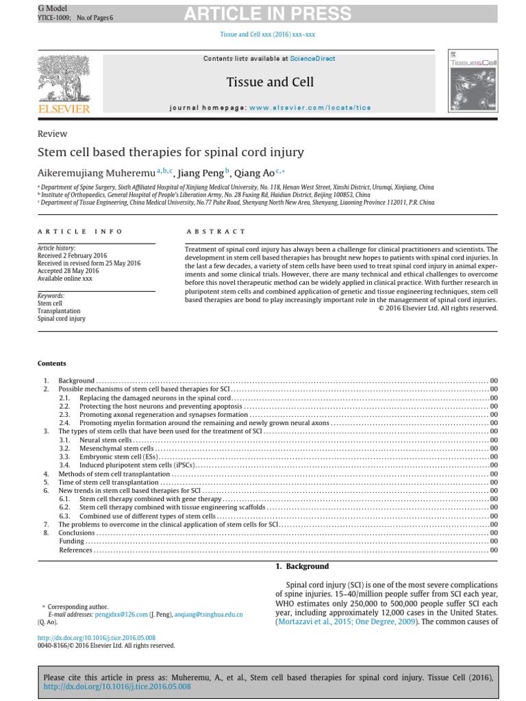 Stem Cell Based Therapies For Spinal Cord Injury | PDF | Stem Cell ...