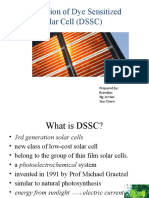 Dye-Sensitized Solar Cell