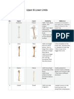 Similarity & Difference Anatomy