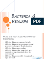 bacteria_and_viruses_notes.ppt