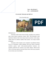 Tugas Domestikasi Sapi (ITLH)