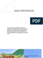 Sistemas Perifericos