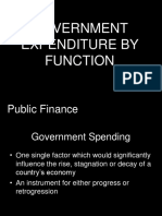 government expenditures.ppt