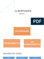 Skenario 13 - Lesi Berpigmen