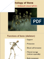 Pathology of Bone - DA