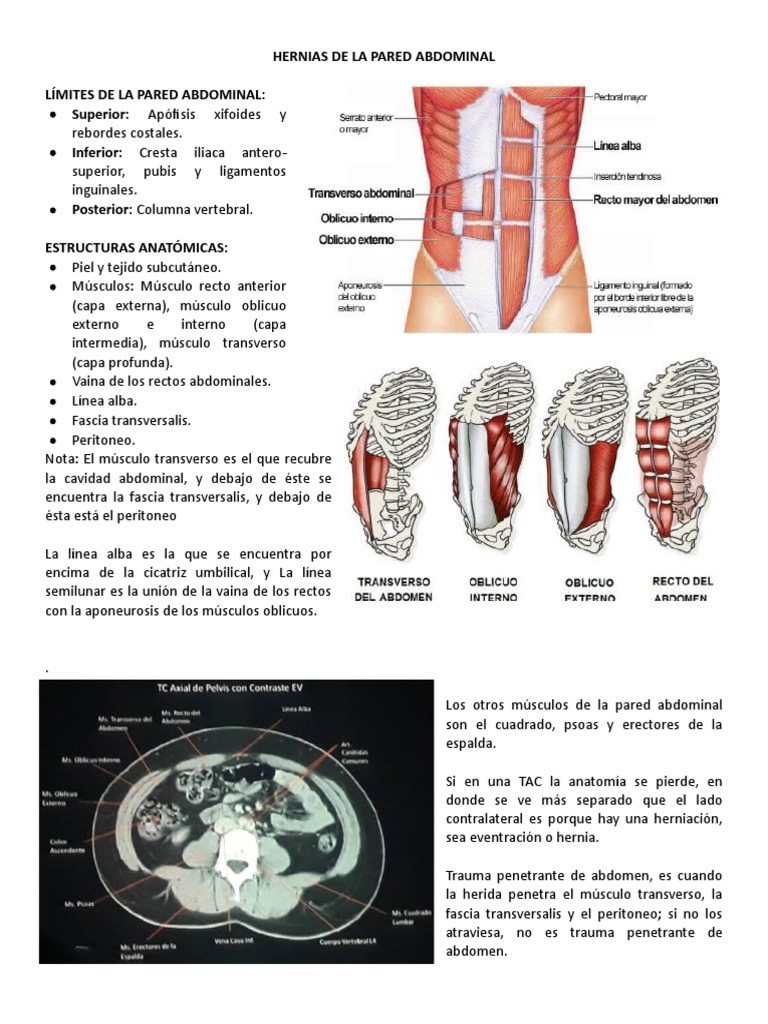 Hernias de La Pared Abdominal | PDF | Abdomen | Especialidades Medicas