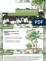 Mod4 - O Ecossistema Florestal