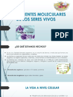 Componentes Moleculares de Los Seres Vivos