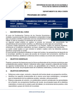 Formato Programa de Curso de Fundamentos 2020 PDF