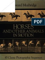 MuyBridge  Horses and other animals in motion_miche.pdf