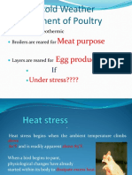 Hot Weather Management of Poultry