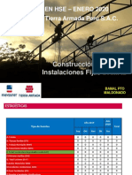 Informe HSE Enero 2020