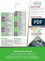 Plan de Estudio Ingeniería de Sistemas PDF