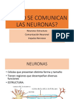 4 CÓMO SE COMUNICAN LAS NEURONAS.pptx