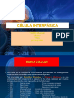 CÉLULA INTERFÁSICA I