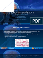 CÉLULA INTERFÁSICA II.pptx