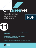 MM Clinanesvet 11