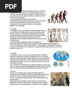 Ramas de Las Ciencias Sociales