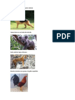 ANIMALES DE ORIGEN CON PRONOMBRES PERSONALES.docx