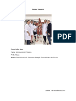 Sistema Muscular PDF