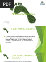 PEGADA ECOLÓGICA - Rodrigo Jesus