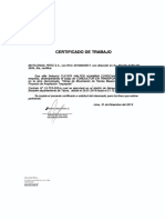 C.V Riveros 2020.pdf