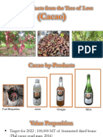 Cacao by Products