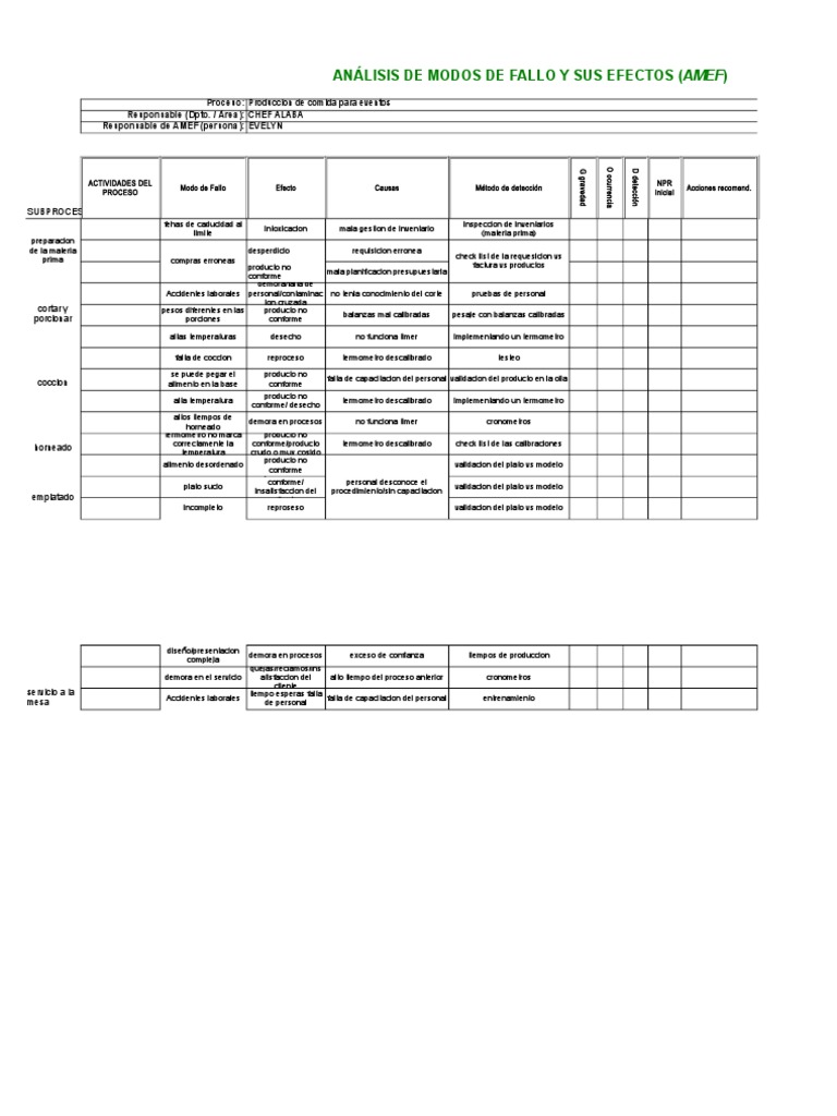 Matriz Amef | PDF | Proceso industrial | Naturaleza