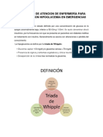 Protocolo de Enfermeria