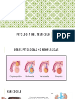 Patologia Del Testiculo