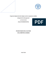 Etude de Base Menthe Maroc FAO PDF