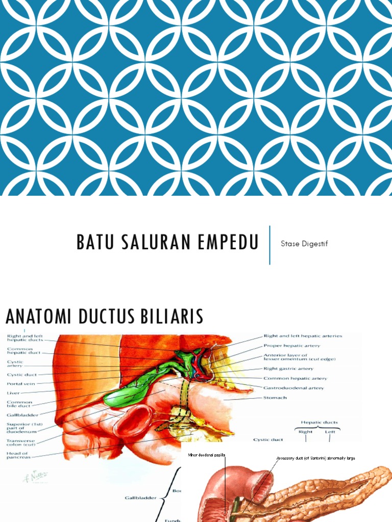 Batu Empedu | PDF | Gallbladder | Bile