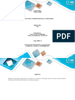 Fase 2 _ Componentes de la cavidad oral_Viviana_Jaramillo.pdf