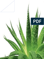 aloe vera.docx