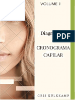 Diagnosticoecronogramacapilar PDF