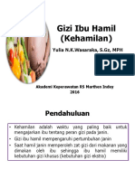 Gizi Ibu Hamil