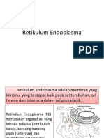 Retikulum Endoplasma