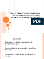 Tema 1 Anatomia  rom (1).pptx