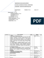 P1 Morfofisiología I PDF